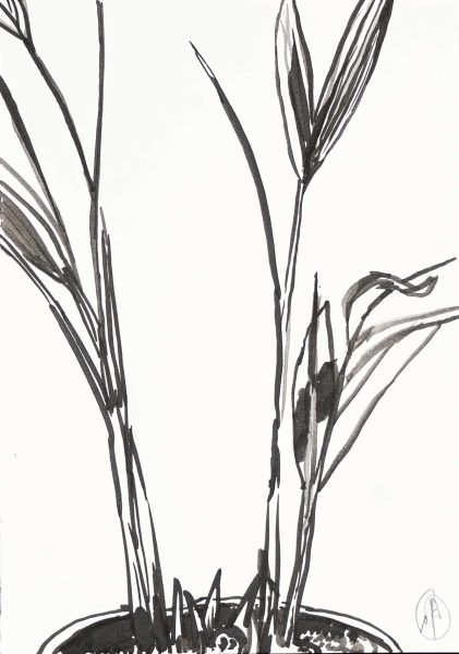 Plant, 2021, 21cm x 14.8cm, inkt op papier (3)