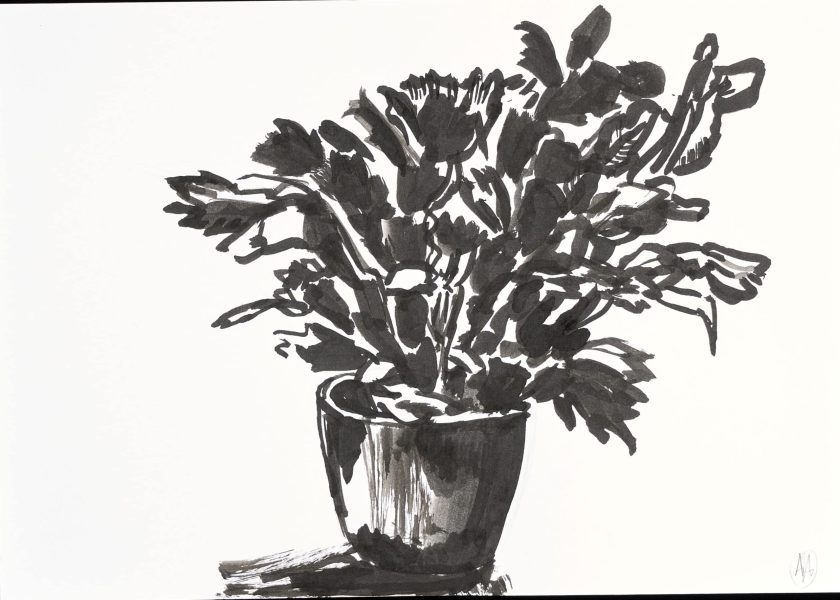 Plant, 2021, 21cm x 14.8cm, inkt op papier (4)