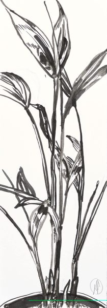 Plant, 2021, 21cm x 7.4cm, inkt op papier