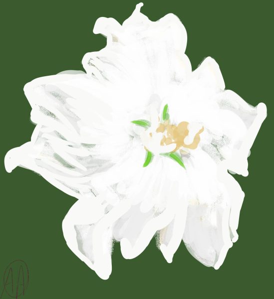 Witte bloem, 2022, digitaal werk