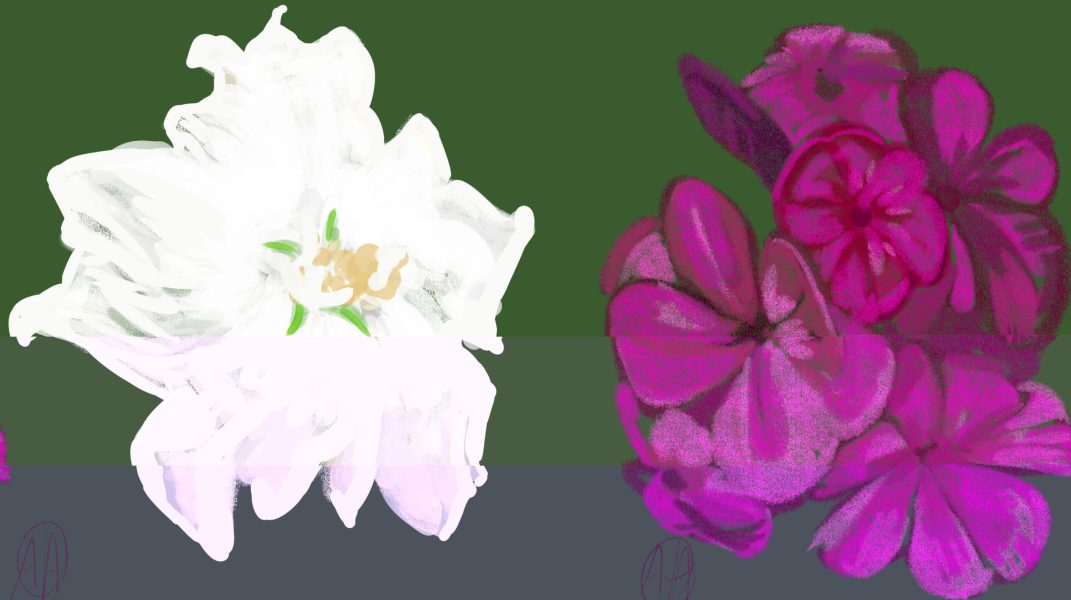 Witte en roze bloemen, 2022, digitaal werk
